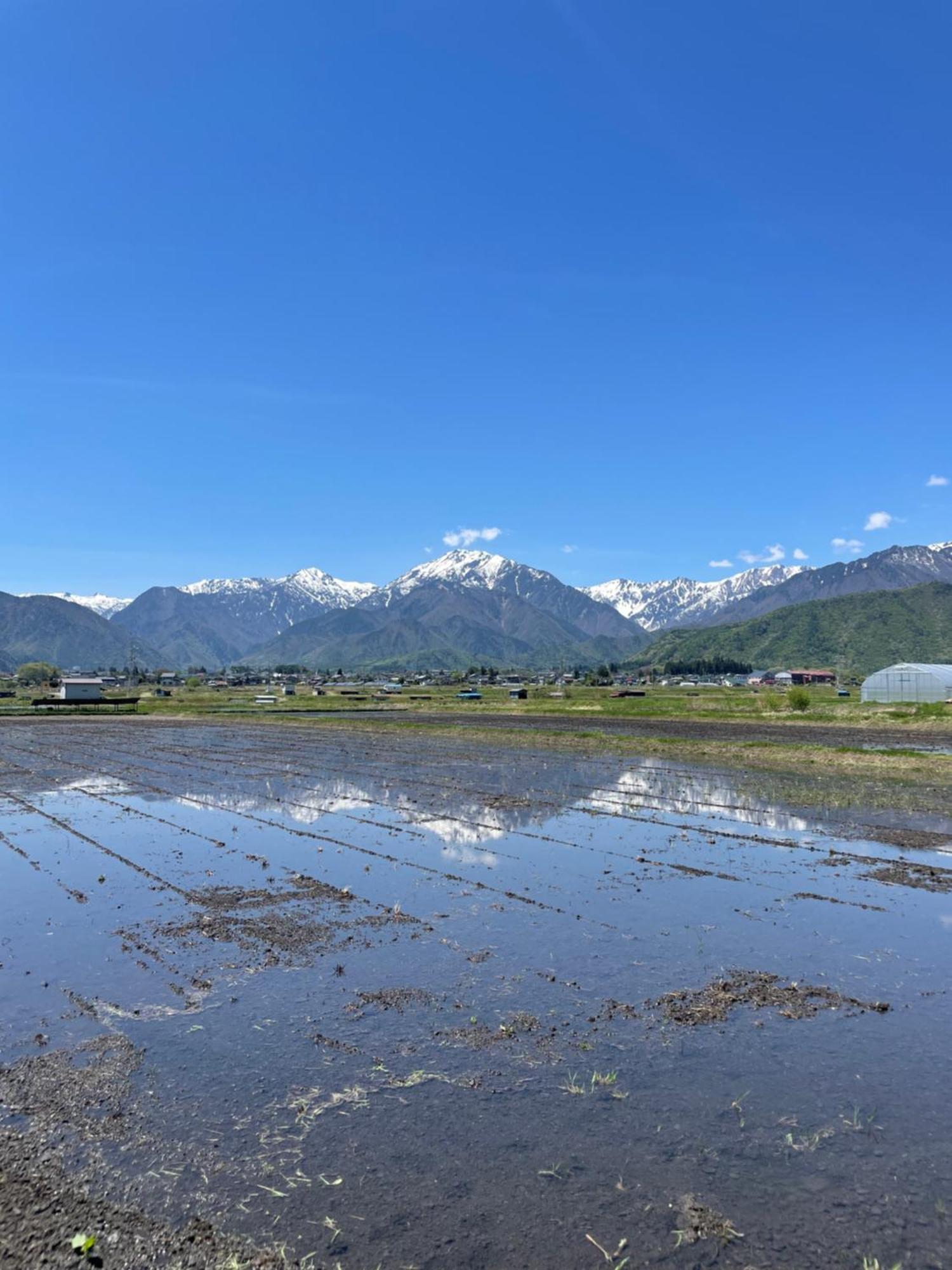 北アルプス麓のゲストハウス林屋 Омати Экстерьер фото